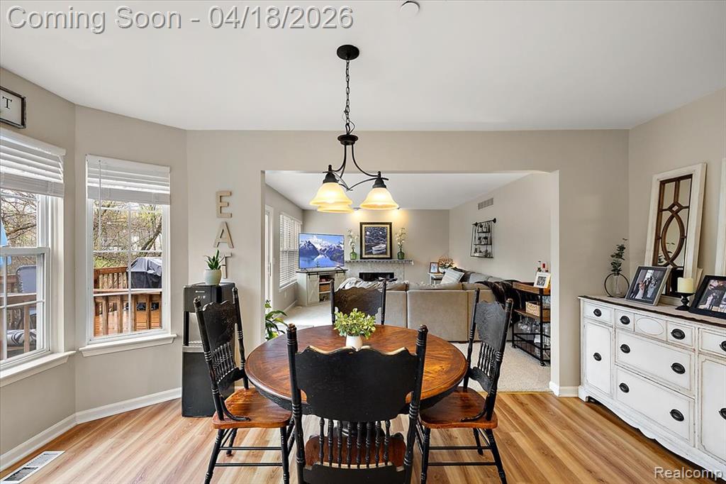 1133 Walloon Way, Lake Orion, MI — Photo 19