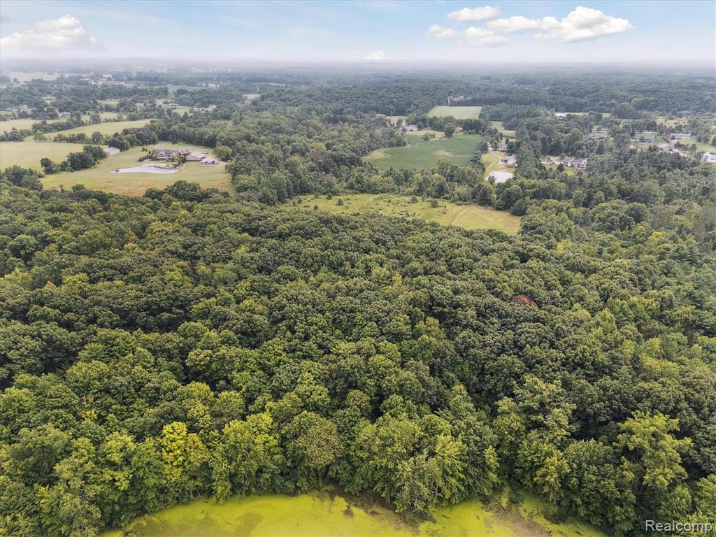 7467 McCandlish Road, Grand Blanc, MI 48439 — Photo 43