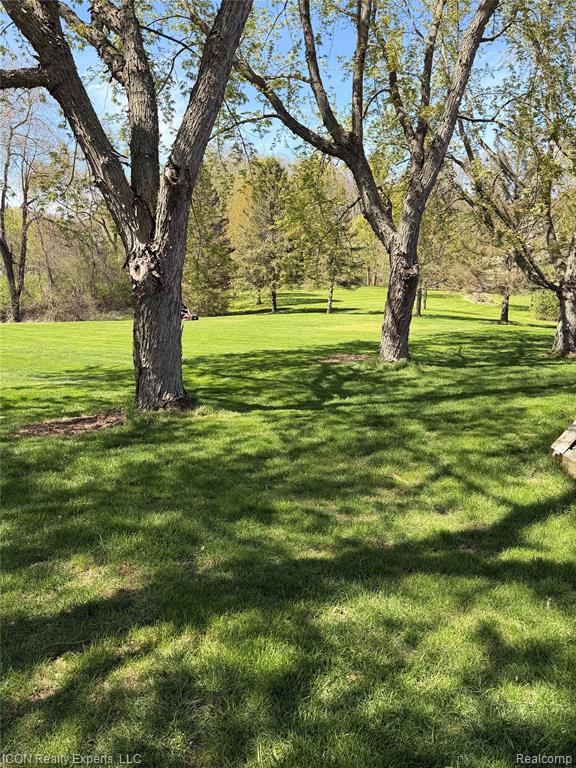 6541 Springfield Lane, Clarkston, MI — Photo 5