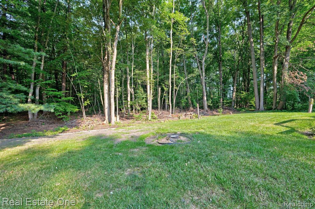 2225 LYNN Road, Sanford, MI 48657 — Photo 74