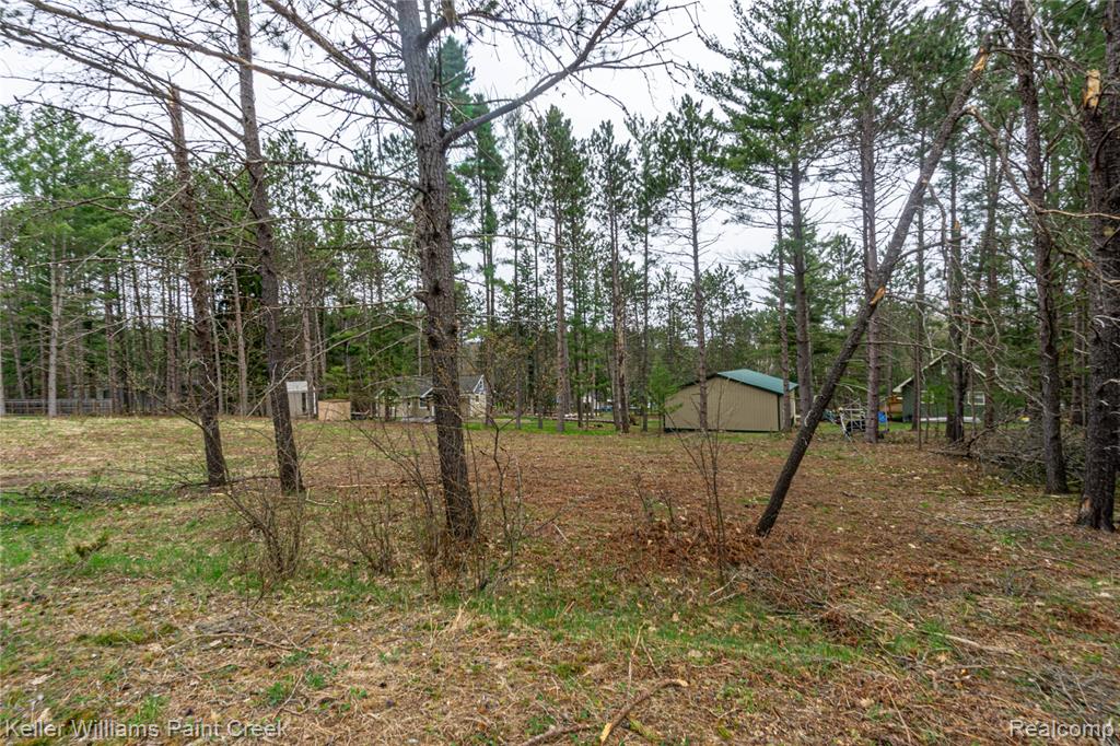 VL Clearview, Gerrish, MI 48653 — Photo 5