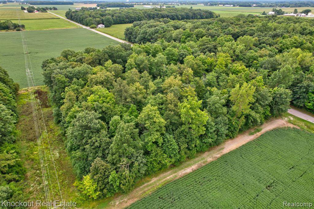 8000 Roedel Road, Frankenmuth, MI 48734 — Photo 14