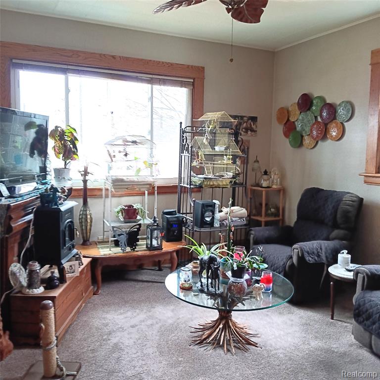 3739 Main Street N, Akron, MI 48701 — Photo 14