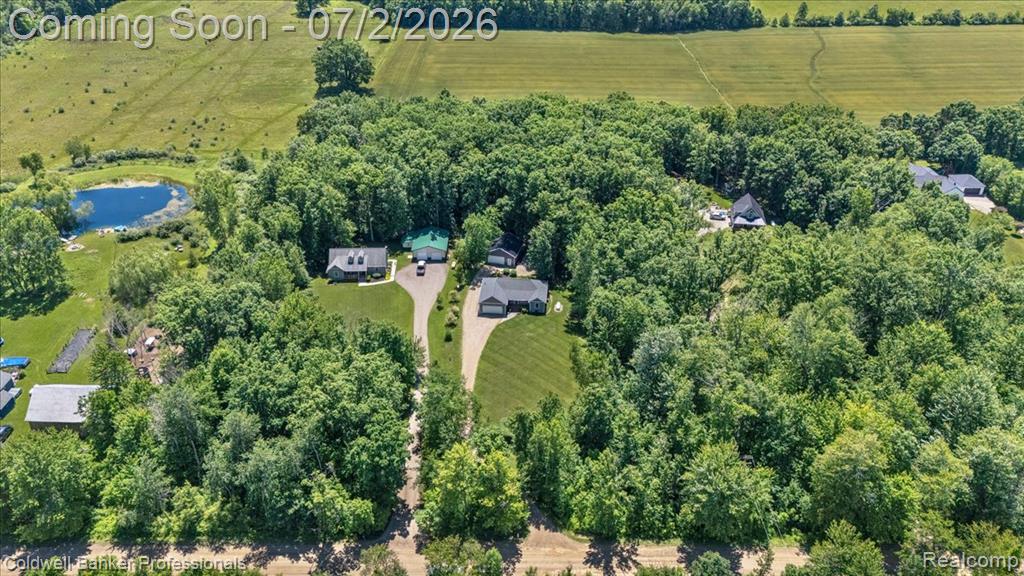 8224 Petz Road, Imlay City, MI 48444 — Photo 32