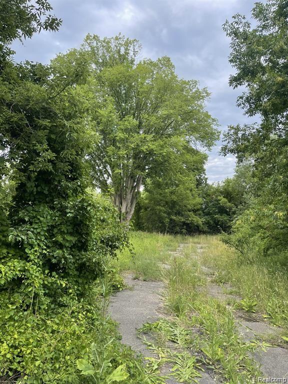 1646 N MILFORD Road, Milford, MI 48381 — Photo 4