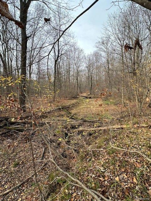 8438 JORDAN Road, Grand Blanc, MI 48439 — Photo 18