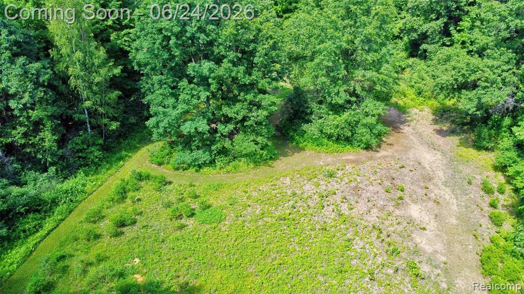 13252 Dixie Highway, Holly, MI 48442 — Photo 41