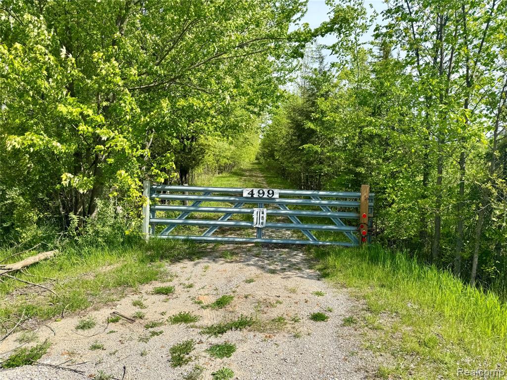 499 E Winegars Road, Gladwin, MI 48624 — Photo 2