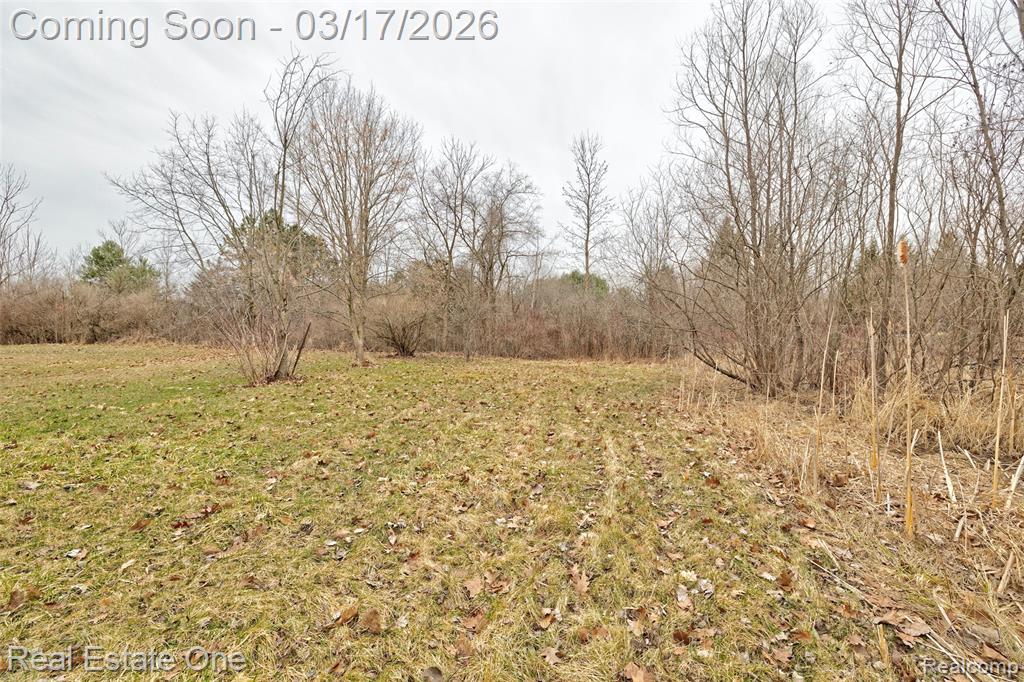 11068 N Fenton Road, Fenton, MI 48430 — Photo 49