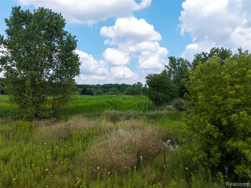 VL Sharp Road, Swartz Creek, MI 48473 — Photo 24