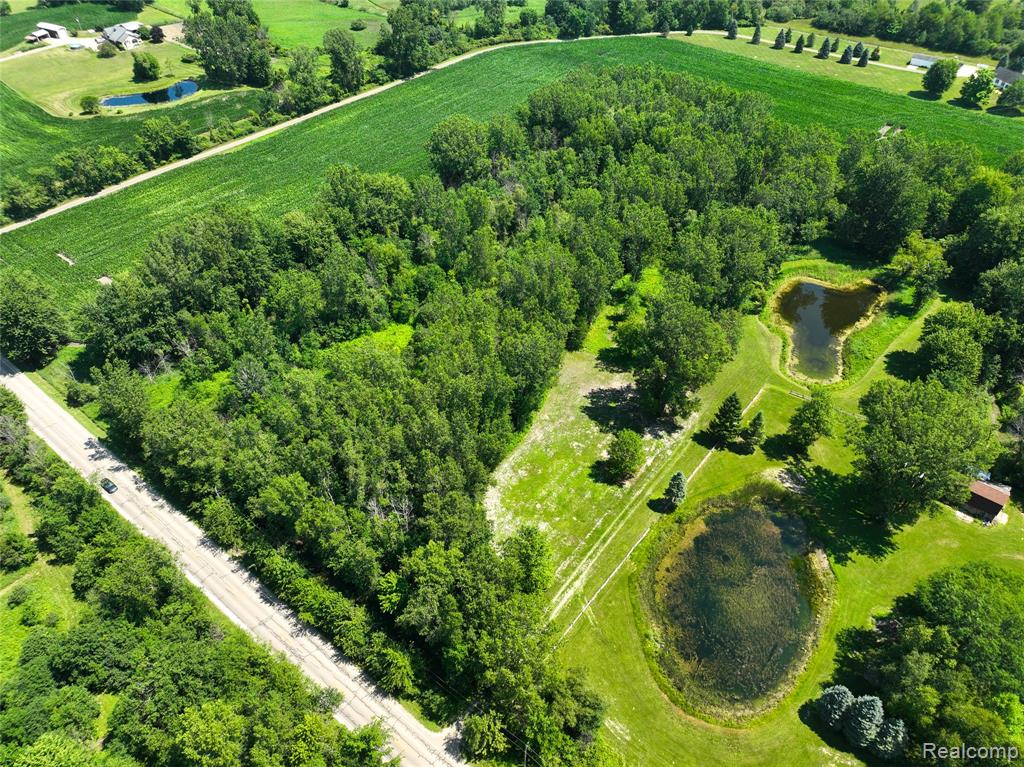 Vacant Land Nicholson Rd, Handy, MI 48836 — Photo 5