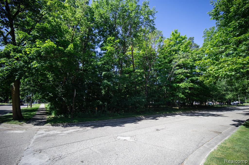 411 N BRIDGE Street, Linden, MI 48451 — Photo 22