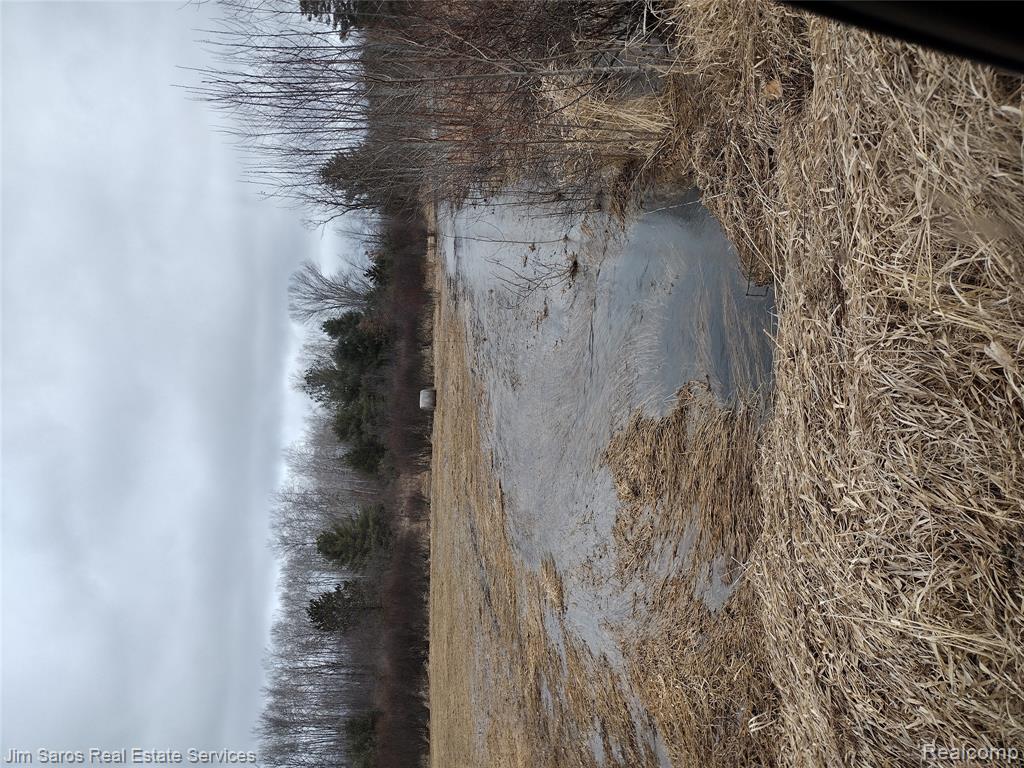4771 E County Line Road, South Branch, MI 48761 — Photo 12