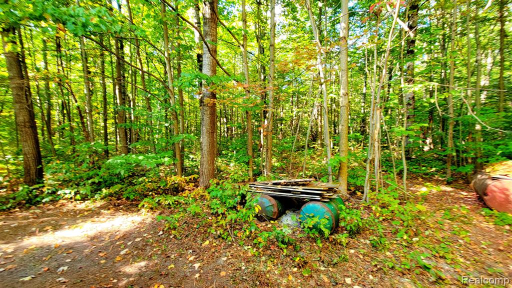7528 OLD STUMP Road, Gaylord, MI 49735 — Photo 30