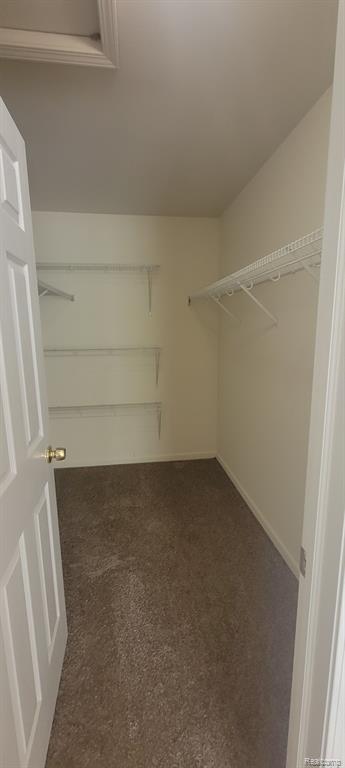 27635 Hidden Oaks Drive, Trenton, MI 48183 — Photo 10