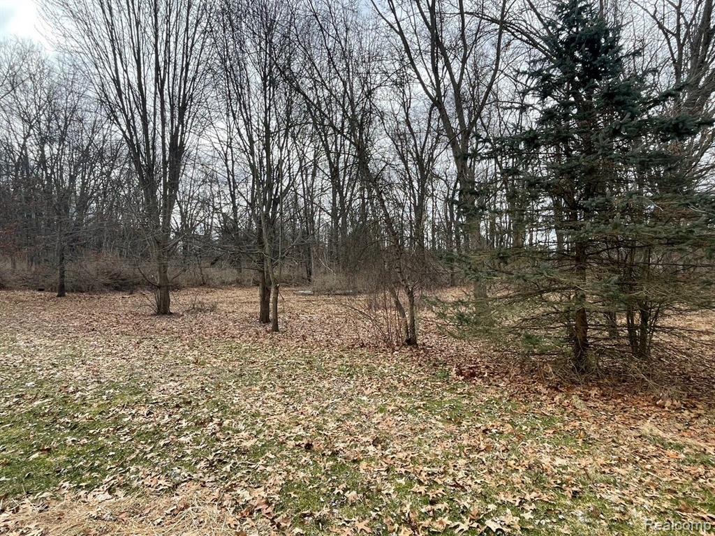 5559 Tipsico Lake Road, Holly, MI 48442 — Photo 15