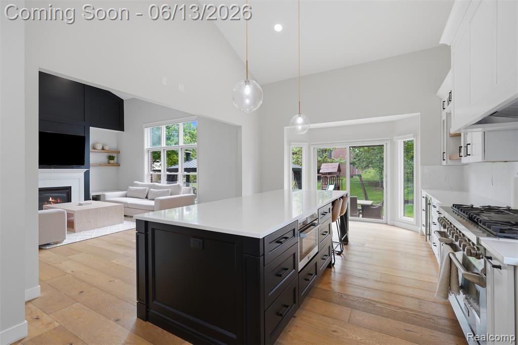 41920 Wolfe Pass, Novi, MI 48377 — Photo 20