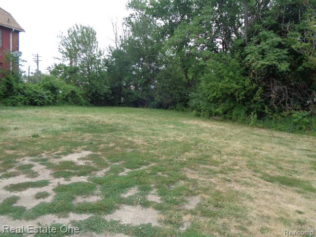 6214 Rosa Parks Boulevard - Photo 4