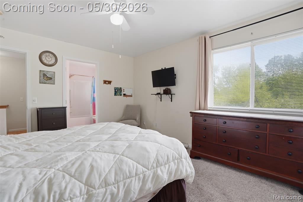 48929 Ashbury Drive, Belleville, MI 48111 — Photo 12