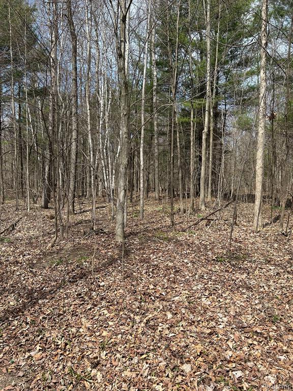 4215 JOSHUA Road, Cass City, MI 48726 — Photo 8