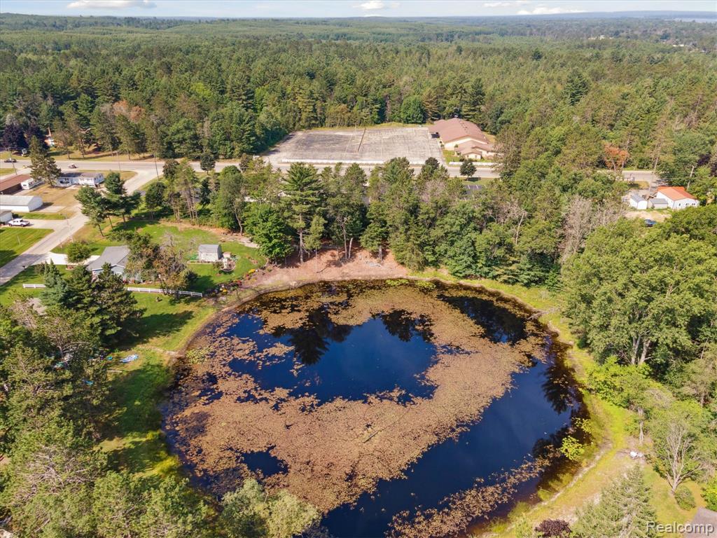 10069 Fisher Lake Road, St. Helen, MI 48656 — Photo 46