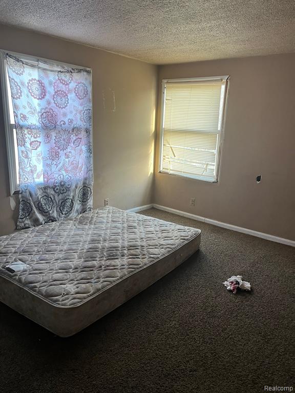 5951 RADNOR Street, Detroit, MI 48224 — Photo 5