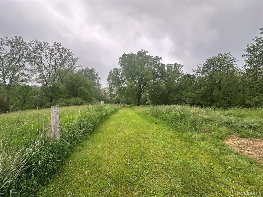 VL Mertz Road, Mayville Vlg, MI 48744 — Photo 21