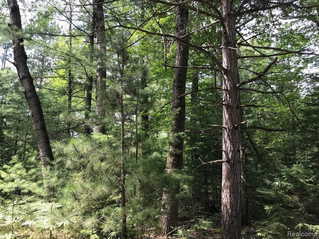 Search Homes for Sale