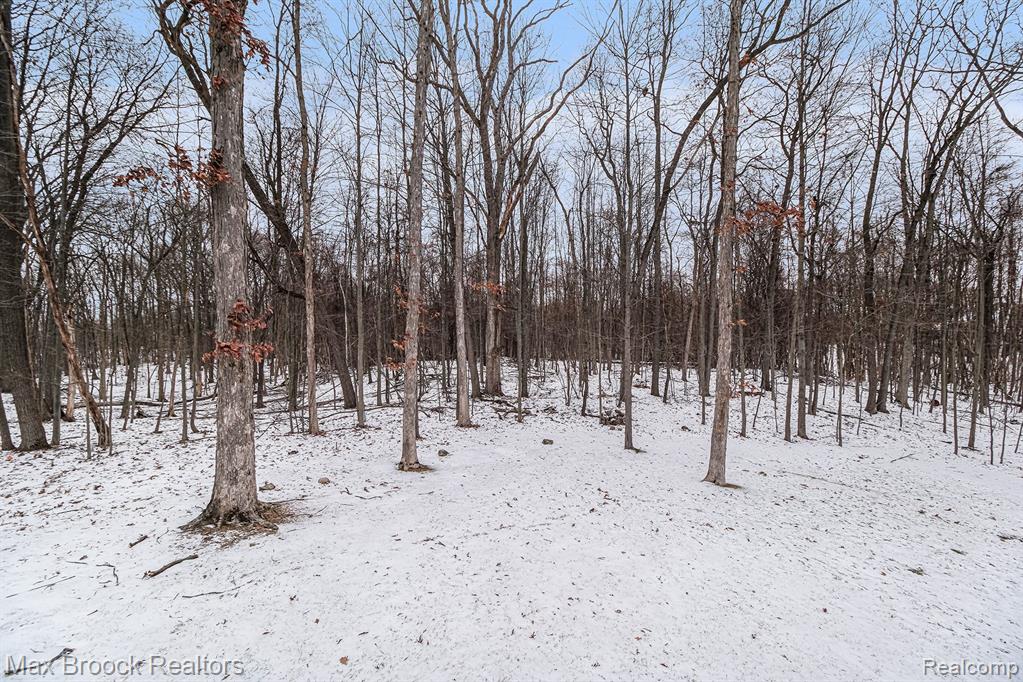 9858 Forest Ridge Drive, Clarkston, MI 48348 — Photo 55