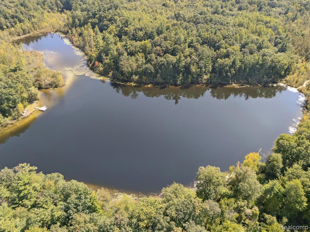 267 W Barnes Lake Road, Columbiaville, MI 48421 — Photo 44