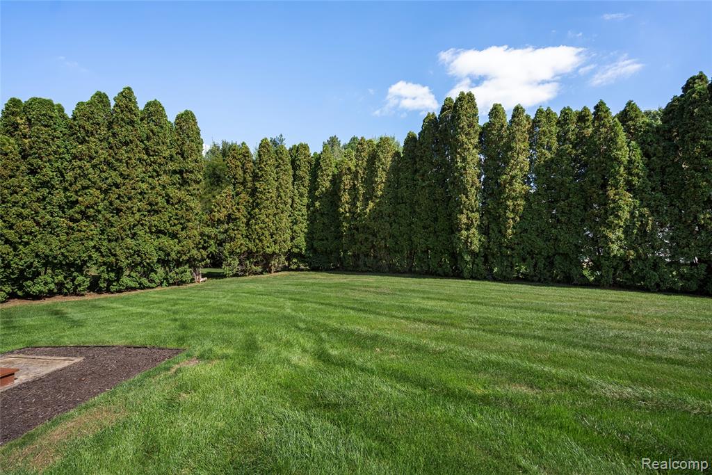9339 Summercress Drive, Brighton, MI 48116 — Photo 28