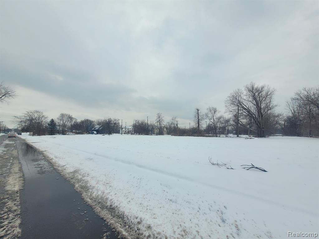 4253 LAWTON Street, Detroit, MI 48208 — Photo 3
