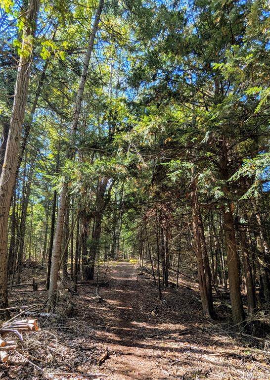 3260 Havenwood Circle, Lake, MI 48632 — Photo 46