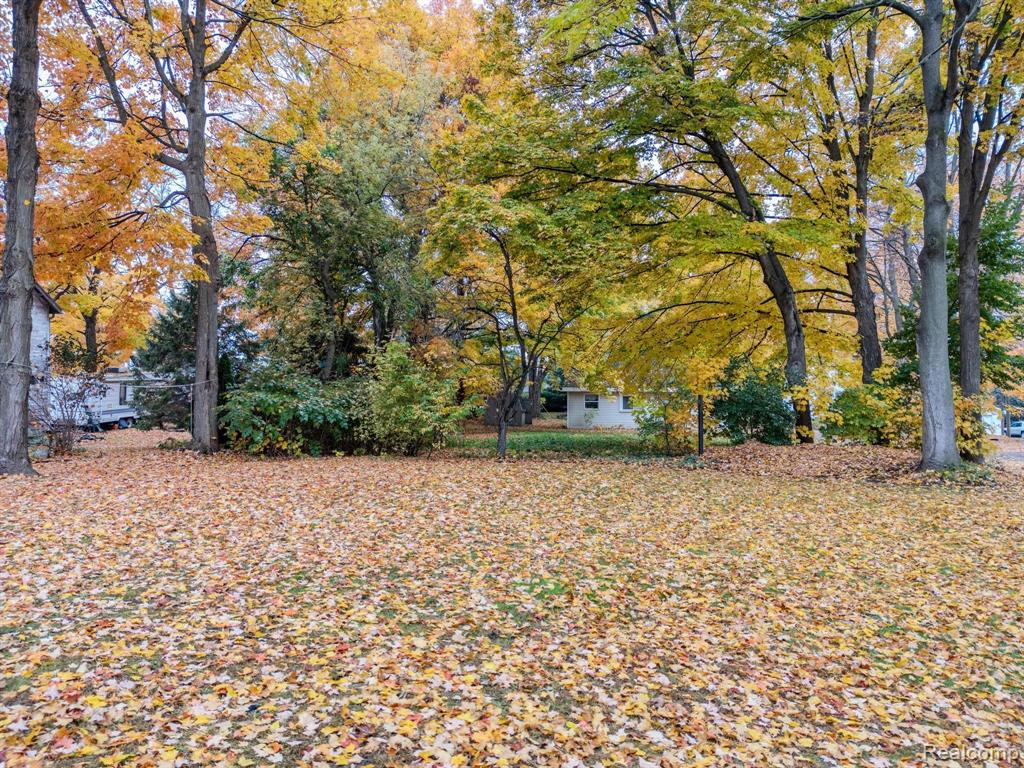 7742 MOSCOW Road, Horton, MI 49246 — Photo 4
