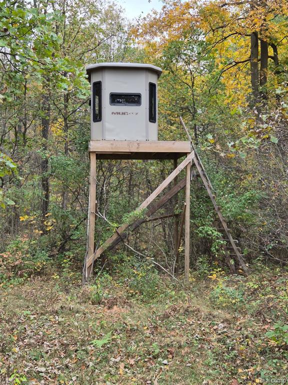 2200 Waterman Road, Mayville Vlg, MI 48744 — Photo 22
