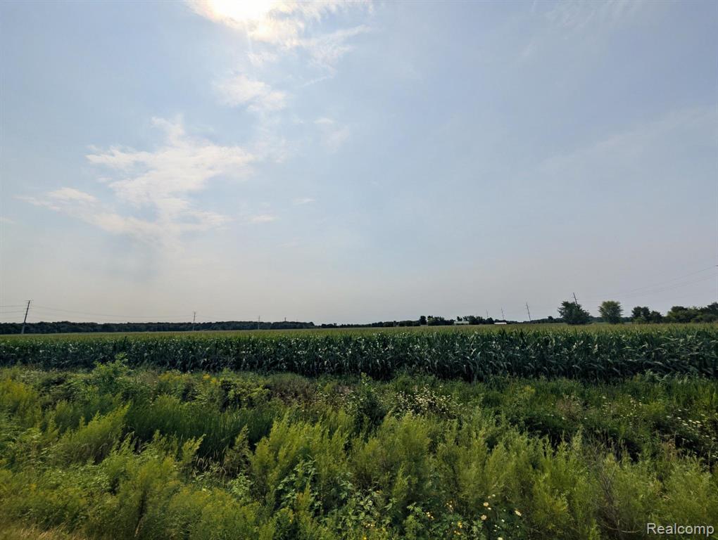 0 Brown Road, Greenwood, MI 48006