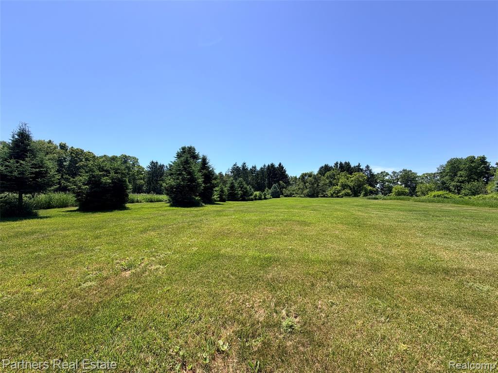 Vacant McKeachie Road, White Lake, MI 48383 — Photo 11