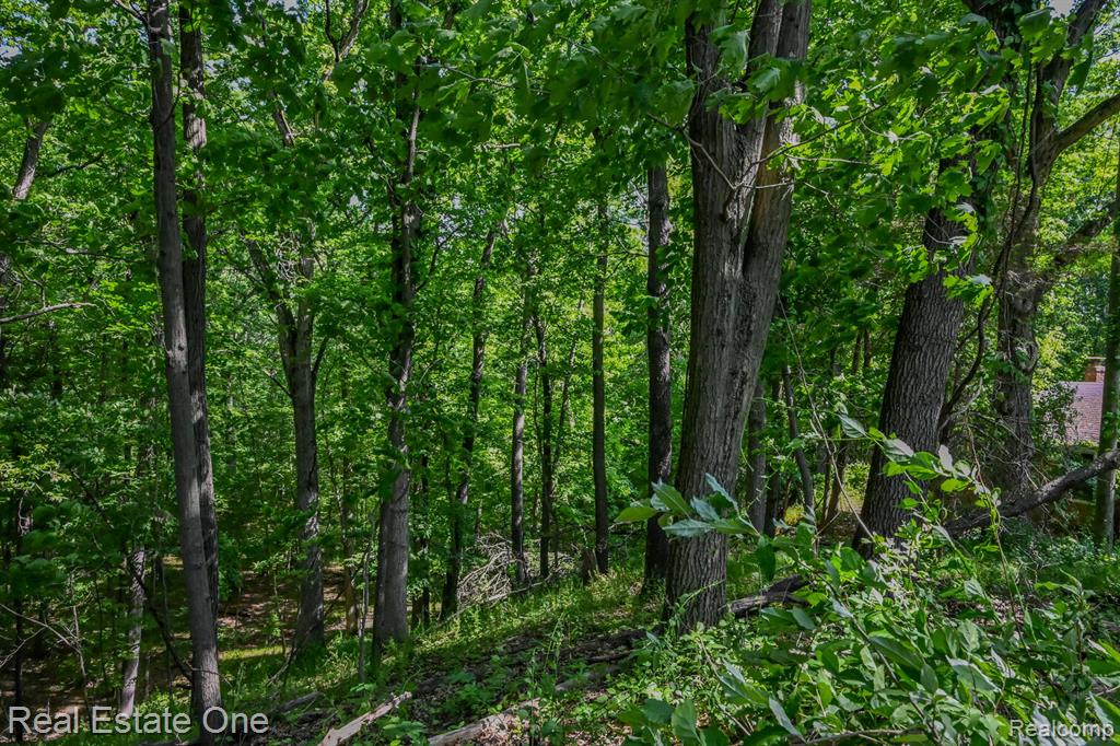 1832 W Commerce Road, Milford, MI 48380 — Photo 7