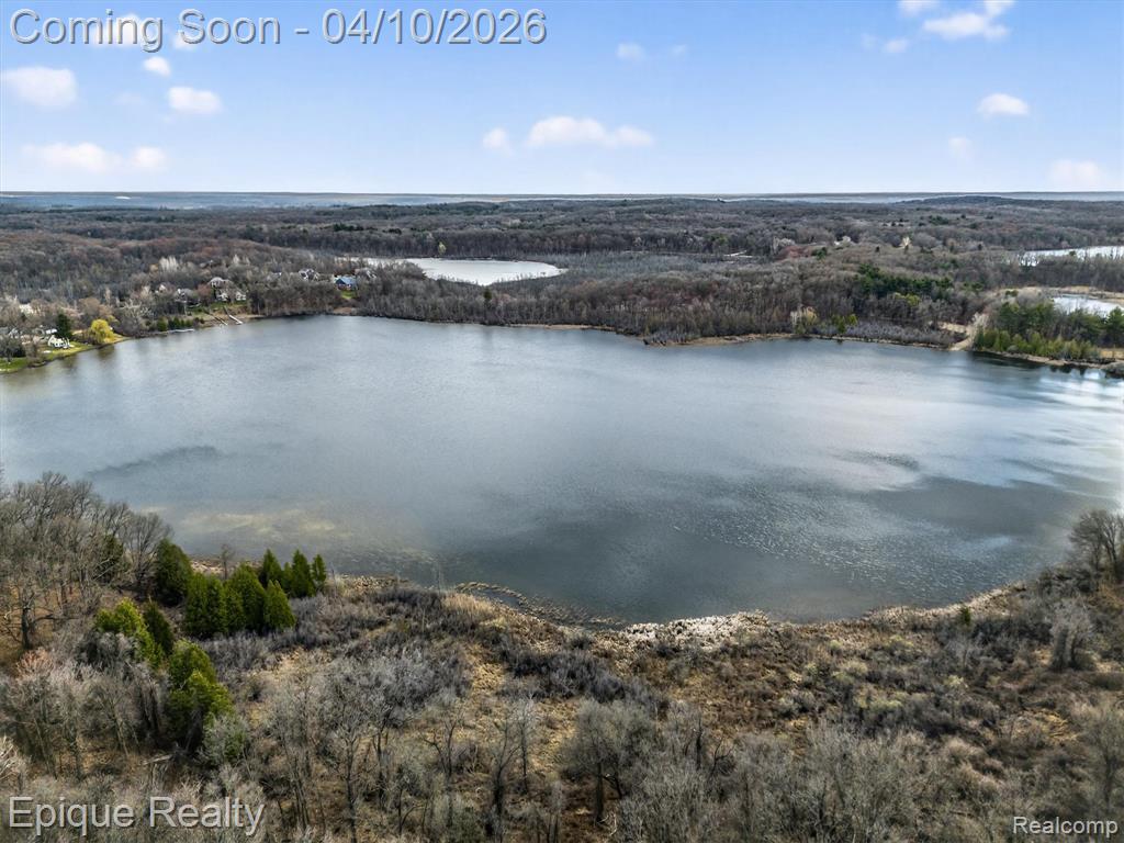 5950 Mountain Top Drive, Brighton, MI 48116 — Photo 60