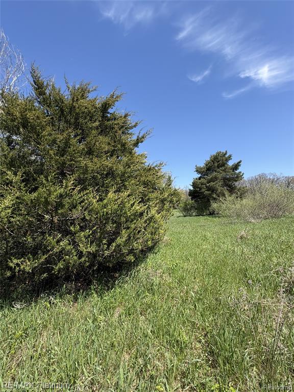 Parcel 1 Edgemont Drive, Howell, MI 48855 — Photo 18