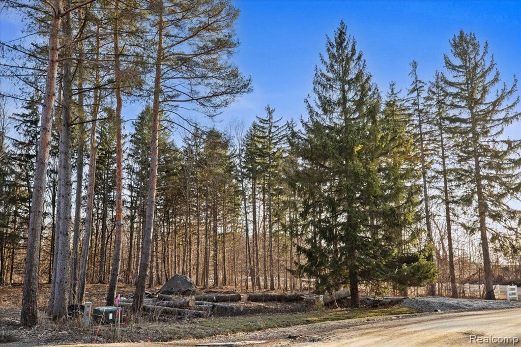 2995 Secluded Pines, Oxford, MI 48371 — Photo 16