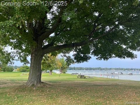 5886 S Green Avenue, Fremont, MI 49412 — Photo 34