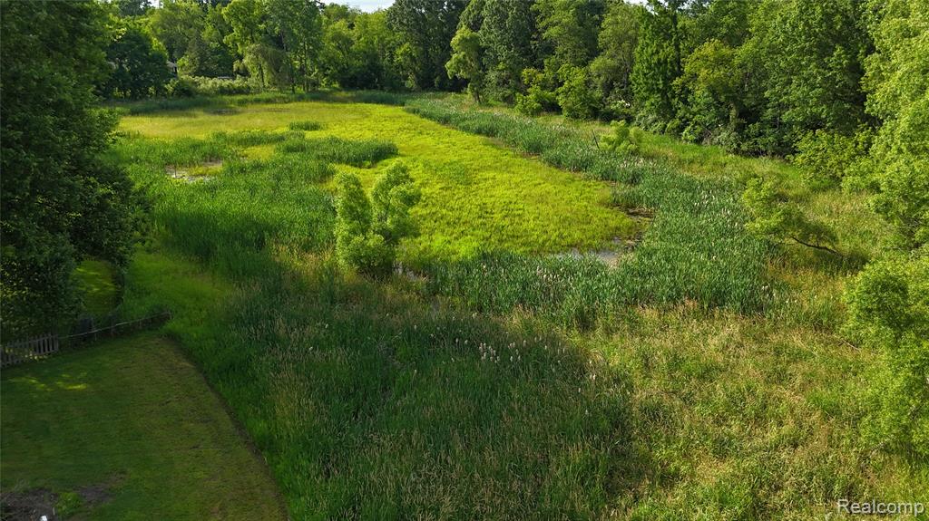 7915 Hillcrest Drive, Laingsburg, MI 48848 — Photo 11