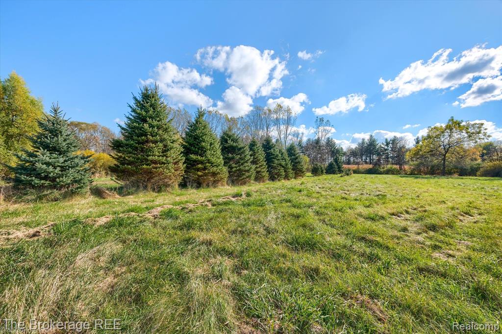 824 Janna Leigh Drive, Otter Lake, MI 48464 — Photo 54