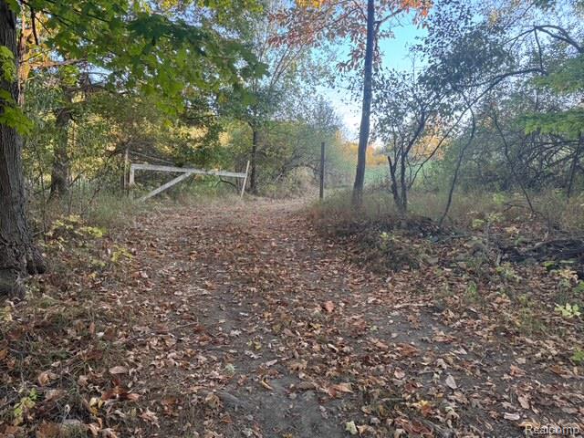 VL Rock Valley Road, Metamora, MI 48455 — Photo 17