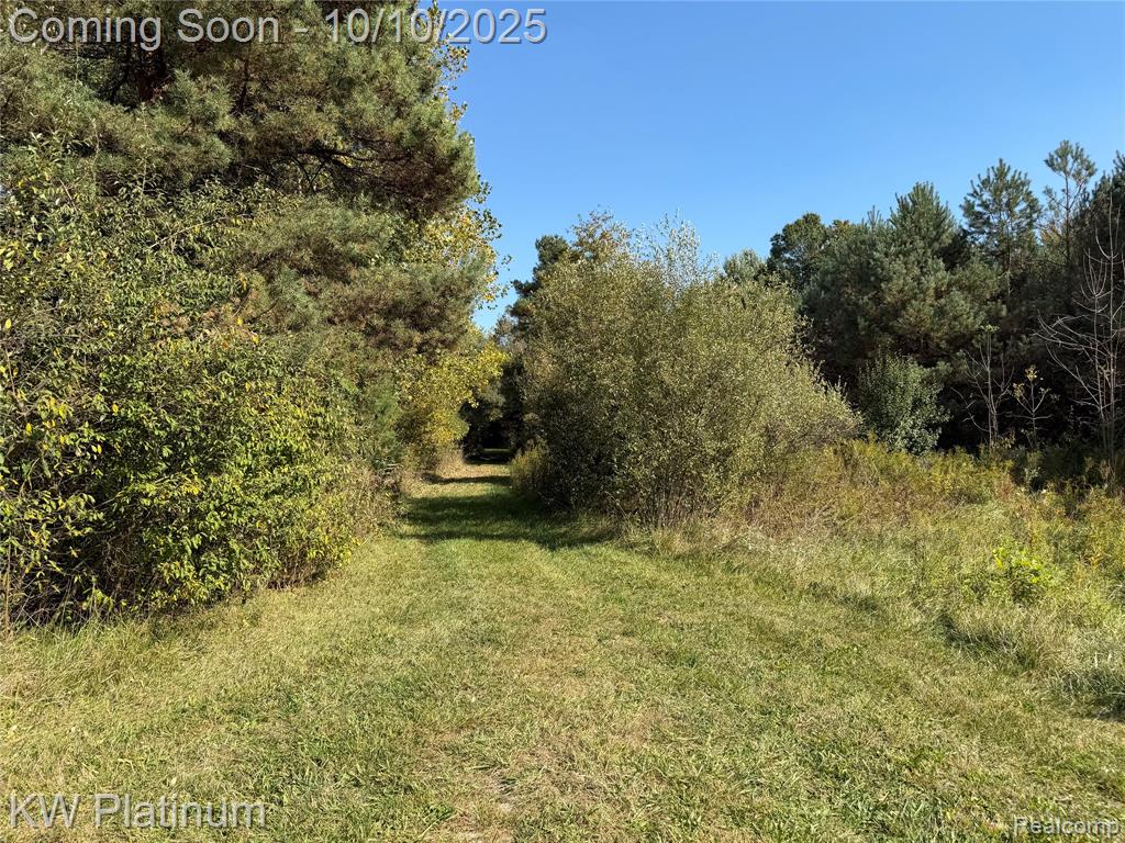 4663 Hessen Road, Casco, MI 48064 — Photo 47