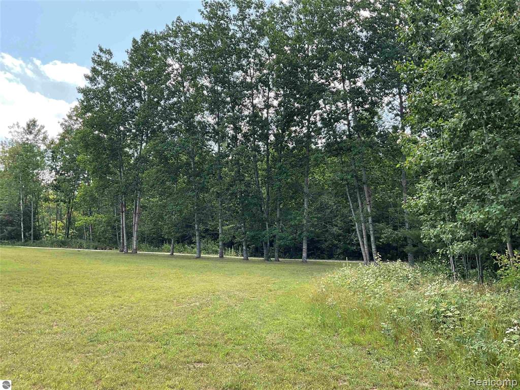 10694 Freeman Road, Mesick, MI 49668 — Photo 27
