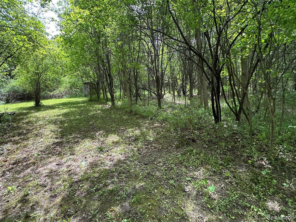 6161 River Road, Flushing, MI 48433 — Photo 28