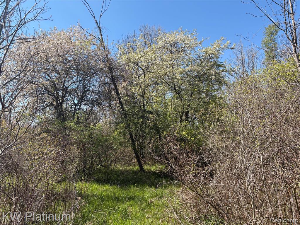 Parcel C Wicha Drive, Burtchville, MI 48059 — Photo 19