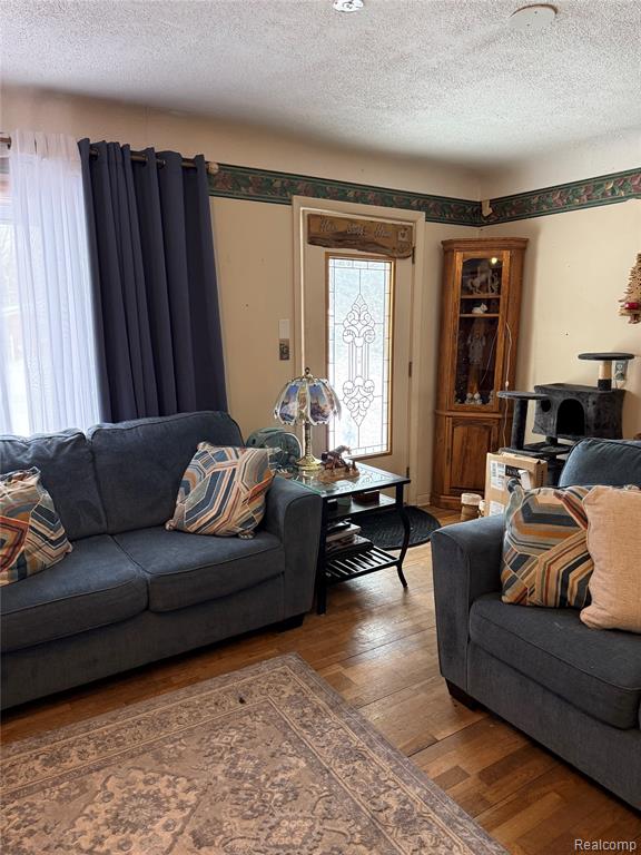 766 Louisa Street, Mount Morris, MI 48458 — Photo 5